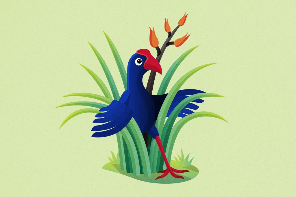 Vector illustration of a pūkeko, a native New Zealand bird.